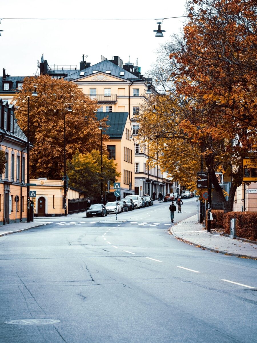 Högerregeln, väjningsplikt och utfartsregeln
